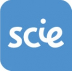 Social Care Institute for Excellence